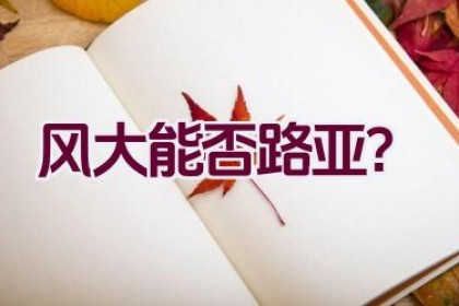 风大能否路亚？