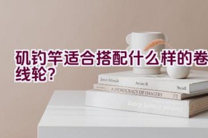 矶钓竿适合搭配什么样的卷线轮？