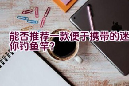 能否推荐一款便于携带的迷你钓鱼竿？