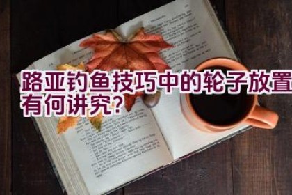 路亚钓鱼技巧中的轮子放置有何讲究？