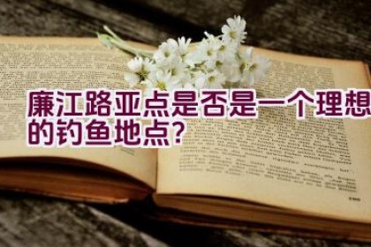 廉江路亚点是否是一个理想的钓鱼地点？