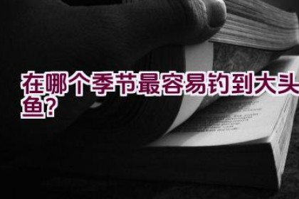 在哪个季节最容易钓到大头鱼？