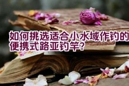 如何挑选适合小水域作钓的便携式路亚钓竿？