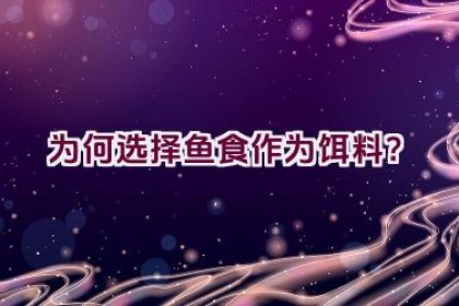 “为何选择鱼食作为饵料？”