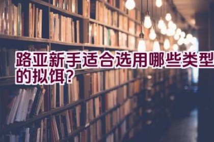 路亚新手适合选用哪些类型的拟饵？
