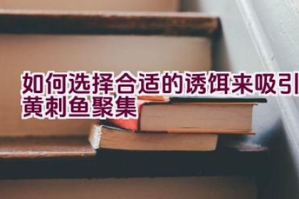 如何选择合适的诱饵来吸引黄刺鱼聚集