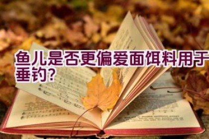鱼儿是否更偏爱面饵料用于垂钓？