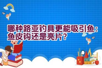 哪种路亚钓具更能吸引鱼：鱼皮钩还是亮片？