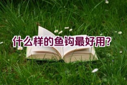 什么样的鱼钩最好用？
