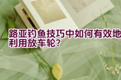 路亚钓鱼技巧中如何有效地利用放车轮？