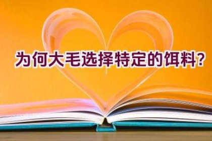 为何大毛选择特定的饵料？