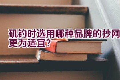 矶钓时选用哪种品牌的抄网更为适宜？