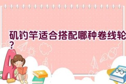 矶钓竿适合搭配哪种卷线轮？