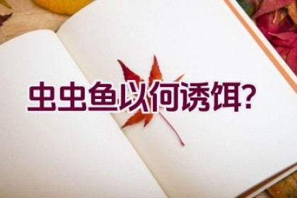 虫虫鱼以何诱饵？