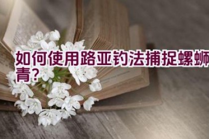 如何使用路亚钓法捕捉螺蛳青？