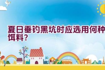 夏日垂钓黑坑时应选用何种饵料？