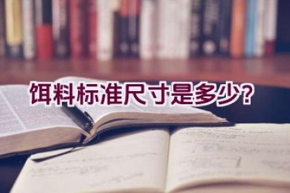 饵料标准尺寸是多少？