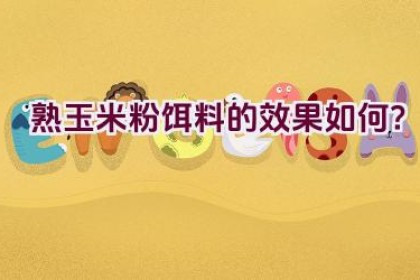 熟玉米粉饵料的效果如何？