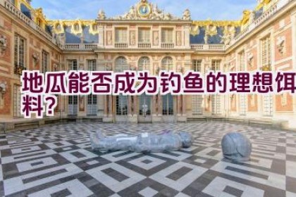 地瓜能否成为钓鱼的理想饵料？
