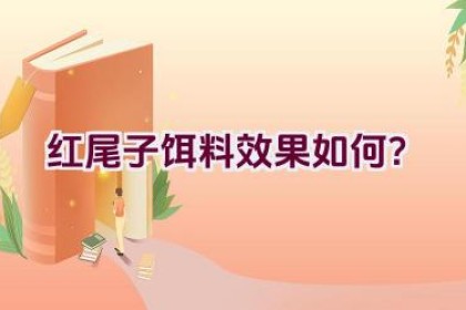 红尾子饵料效果如何？