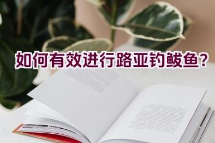 如何有效进行路亚钓鲅鱼？