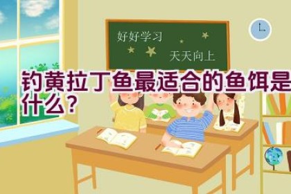 钓黄拉丁鱼最适合的鱼饵是什么？
