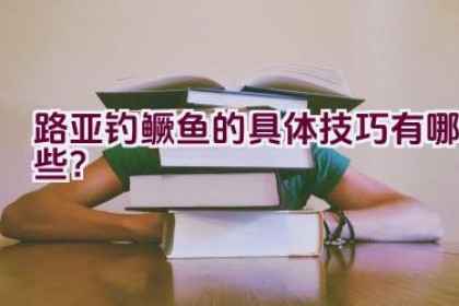 路亚钓鳜鱼的具体技巧有哪些？