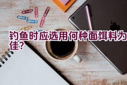 钓鱼时应选用何种面饵料为佳？