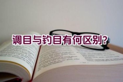 调目与钓目有何区别？