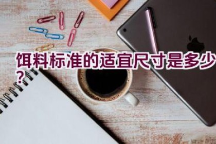 饵料标准的适宜尺寸是多少？