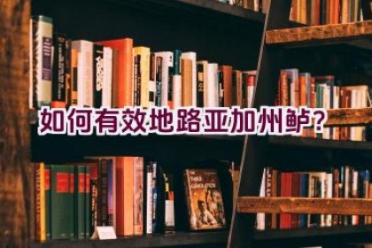 如何有效地路亚加州鲈？