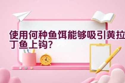 使用何种鱼饵能够吸引黄拉丁鱼上钩？