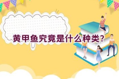 黄甲鱼究竟是什么种类？