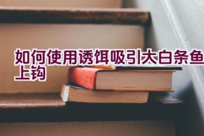 如何使用诱饵吸引大白条鱼上钩