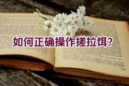 如何正确操作搓拉饵？