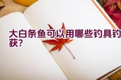 大白条鱼可以用哪些钓具钓获？