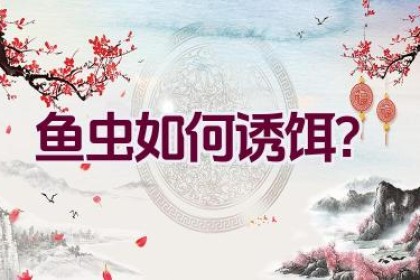 鱼虫如何诱饵？