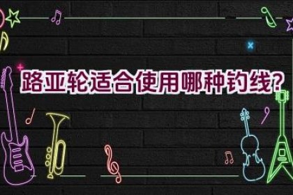 路亚轮适合使用哪种钓线？