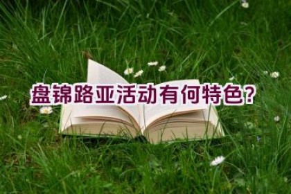 盘锦路亚活动有何特色？