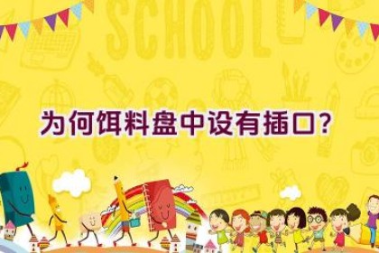 为何饵料盘中设有插口？