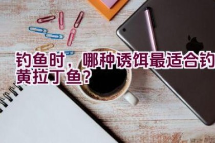 钓鱼时，哪种诱饵最适合钓黄拉丁鱼？