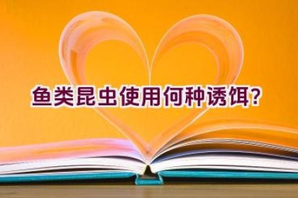 鱼类昆虫使用何种诱饵？