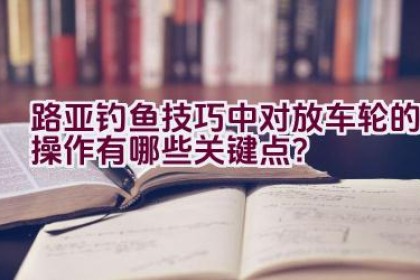 路亚钓鱼技巧中对放车轮的操作有哪些关键点？