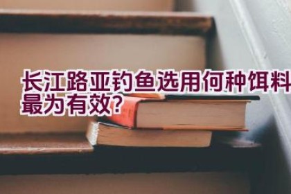 长江路亚钓鱼选用何种饵料最为有效？