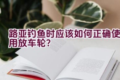路亚钓鱼时应该如何正确使用放车轮？