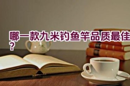 哪一款九米钓鱼竿品质最佳？