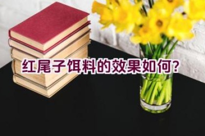 红尾子饵料的效果如何？