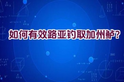 如何有效路亚钓取加州鲈？