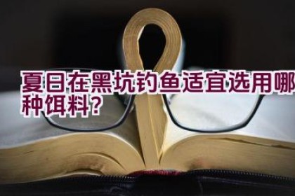 夏日在黑坑钓鱼适宜选用哪种饵料？