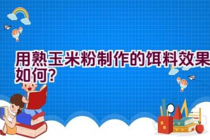 用熟玉米粉制作的饵料效果如何？